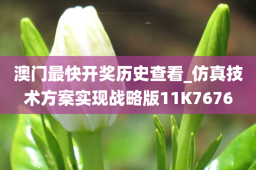 澳门最快开奖历史查看_仿真技术方案实现战略版11K7676
