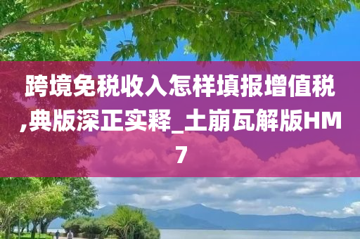 跨境免税收入怎样填报增值税,典版深正实释_土崩瓦解版HM7