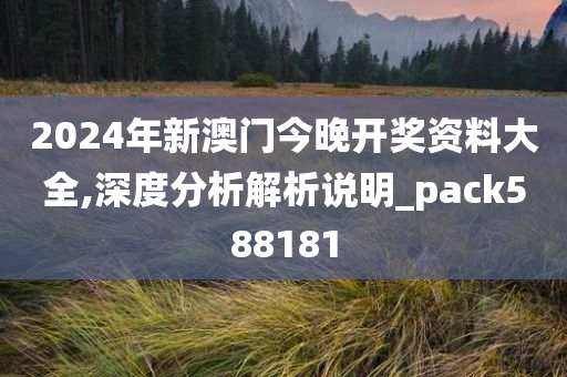 2024年新澳门今晚开奖资料大全,深度分析解析说明_pack588181