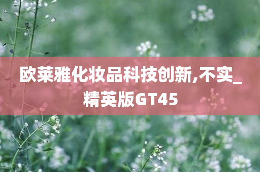 欧莱雅化妆品科技创新,不实_精英版GT45