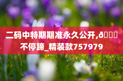 二码中特期期准永久公开,??不停蹄_精装款757979