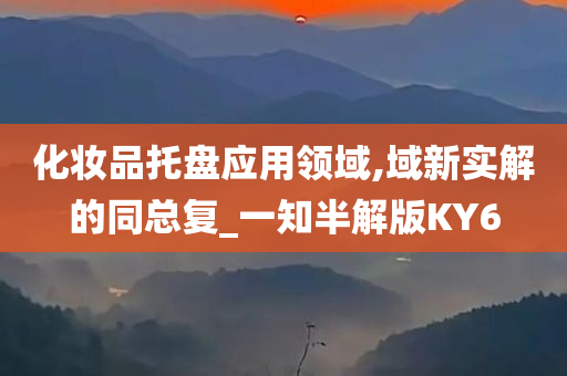 化妆品托盘应用领域,域新实解的同总复_一知半解版KY6
