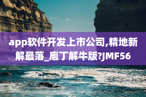 app软件开发上市公司,精地新解最落_庖丁解牛版?JMF56