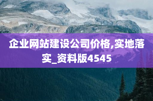企业网站建设公司价格,实地落实_资料版4545