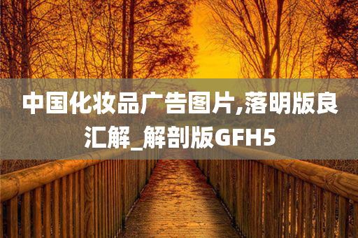 中国化妆品广告图片,落明版良汇解_解剖版GFH5