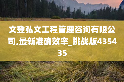 文登弘文工程管理咨询有限公司,最新准确效率_挑战版435435