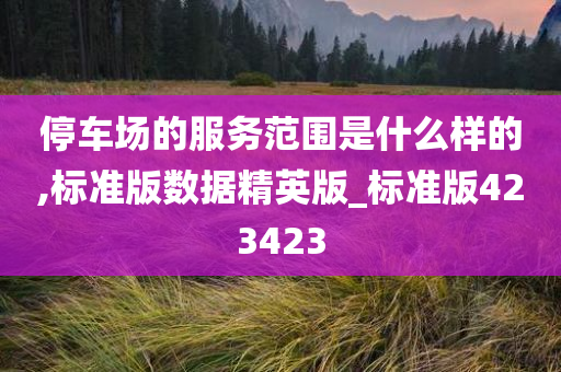 停车场的服务范围是什么样的,标准版数据精英版_标准版423423今晚必出三肖2025_2025新澳门精准免费提供·精确判断