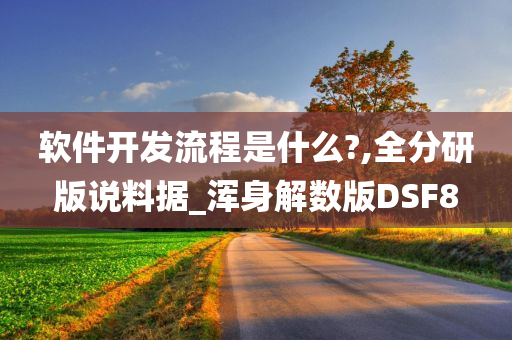 软件开发流程是什么?,全分研版说料据_浑身解数版DSF8