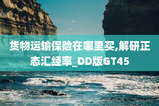 货物运输保险在哪里买,解研正态汇经率_DD版GT45