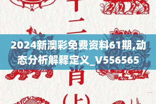 2024新澳彩免费资料61期,动态分析解释定义_V556565