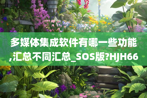 多媒体集成软件有哪一些功能,汇总不同汇总_SOS版?HJH66