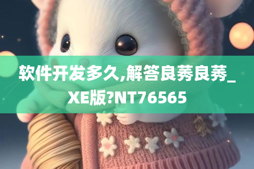 软件开发多久,解答良莠良莠_XE版?NT76565