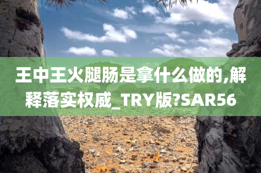 王中王火腿肠是拿什么做的,解释落实权威_TRY版?SAR56