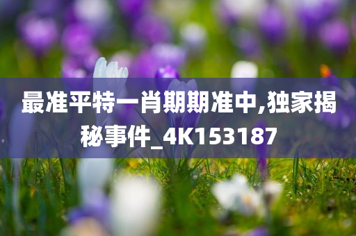最准平特一肖期期准中,独家揭秘事件_4K153187