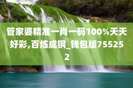 管家婆精准一肖一码100%天天好彩,百炼成钢_钱包版755252