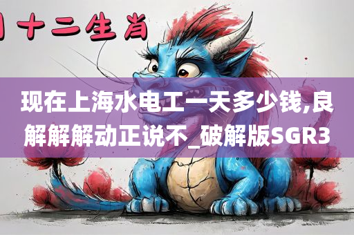 现在上海水电工一天多少钱,良解解解动正说不_破解版SGR3