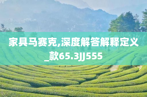 家具马赛克,深度解答解释定义_款65.3JJ555