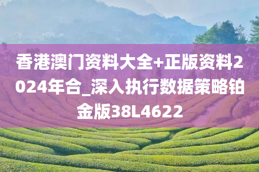 香港澳门资料大全+正版资料2024年合_深入执行数据策略铂金版38L4622