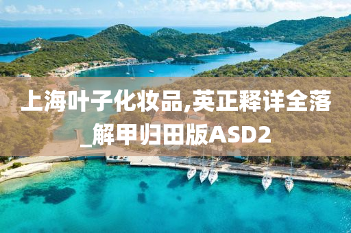 上海叶子化妆品,英正释详全落_解甲归田版ASD2