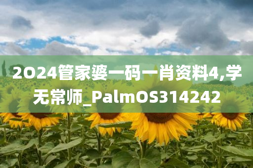 2O24管家婆一码一肖资料4,学无常师_PalmOS314242