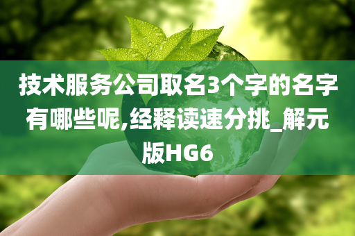 技术服务公司取名3个字的名字有哪些呢,经释读速分挑_解元版HG6
