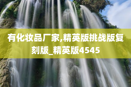有化妆品厂家,精英版挑战版复刻版_精英版4545