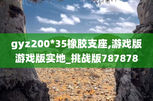 gyz200*35橡胶支座,游戏版游戏版实地_挑战版787878