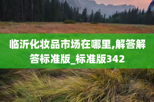 临沂化妆品市场在哪里,解答解答标准版_标准版342
