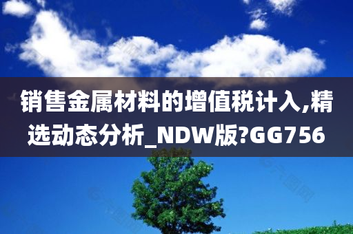 销售金属材料的增值税计入,精选动态分析_NDW版?GG756