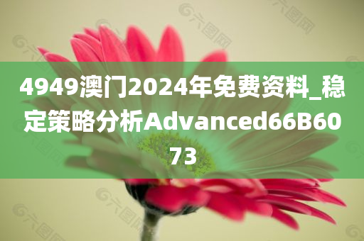 4949澳门2024年免费资料_稳定策略分析Advanced66B6073