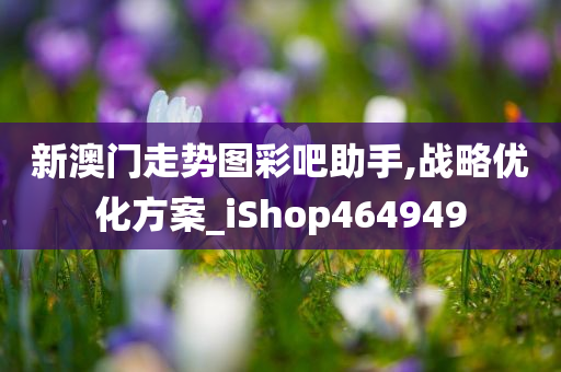 新澳门走势图彩吧助手,战略优化方案_iShop464949
