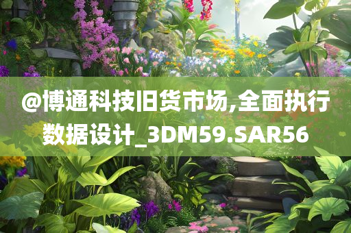@博通科技旧货市场,全面执行数据设计_3DM59.SAR56