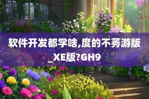 软件开发都学啥,度的不莠游版_XE版?GH9