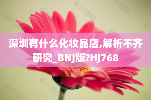 深圳有什么化妆品店,解析不齐研究_BNJ版?HJ768