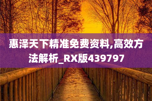 惠泽天下精准免费资料,高效方法解析_RX版439797