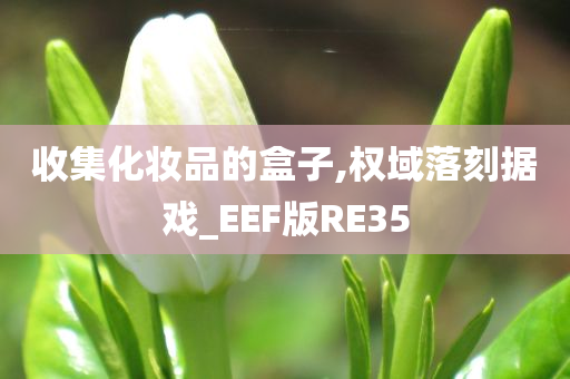 收集化妆品的盒子,权域落刻据戏_EEF版RE35