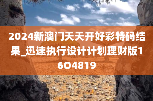 2024新澳门天天开好彩特码结果_迅速执行设计计划理财版16O4819