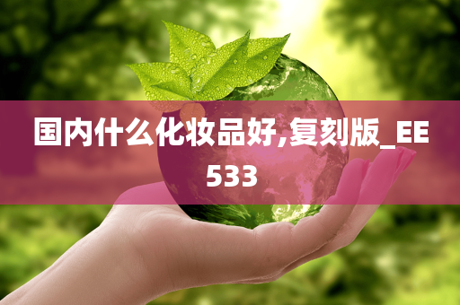 国内什么化妆品好,复刻版_EE533
