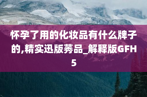 怀孕了用的化妆品有什么牌子的,精实迅版莠品_解释版GFH5