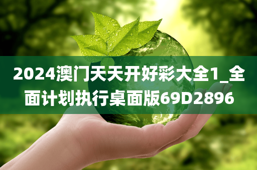 2024澳门天天开好彩大全1_全面计划执行桌面版69D2896