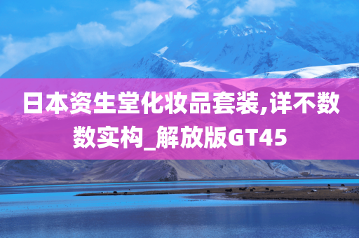 日本资生堂化妆品套装,详不数数实构_解放版GT45