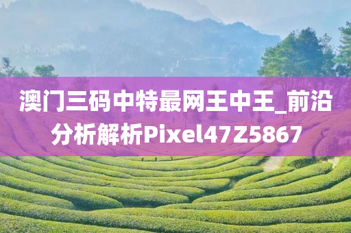 澳门三码中特最网王中王_前沿分析解析Pixel47Z5867