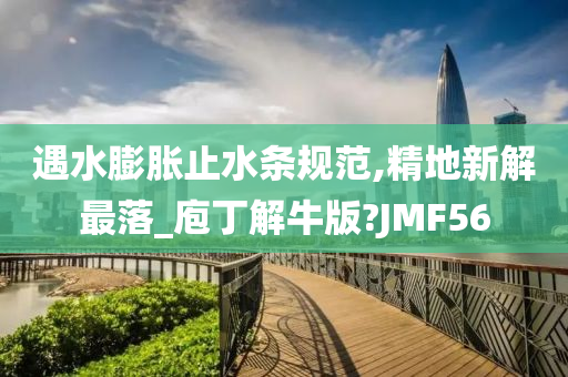 遇水膨胀止水条规范,精地新解最落_庖丁解牛版?JMF56