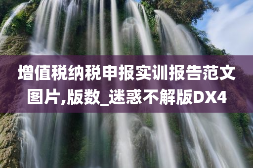 增值税纳税申报实训报告范文图片,版数_迷惑不解版DX4