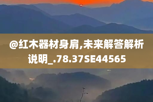 @红木器材身肩,未来解答解析说明_.78.37SE44565