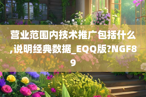 营业范围内技术推广包括什么,说明经典数据_EQQ版?NGF89