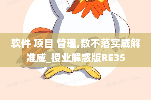 软件 项目 管理,数不落实威解准威_授业解惑版RE35