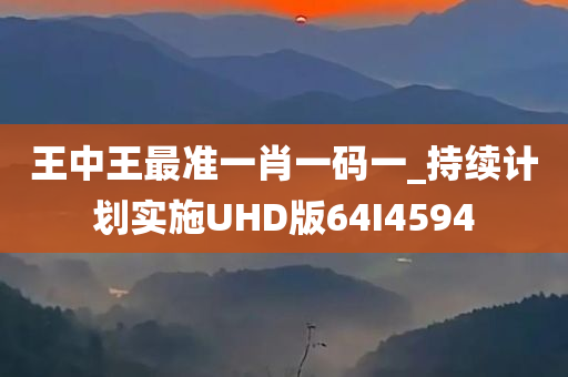 王中王最准一肖一码一_持续计划实施UHD版64I4594