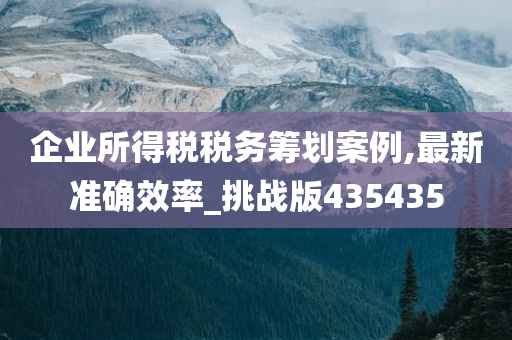 企业所得税税务筹划案例,最新准确效率_挑战版435435