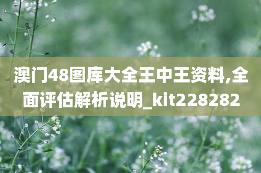 澳门48图库大全王中王资料,全面评估解析说明_kit228282